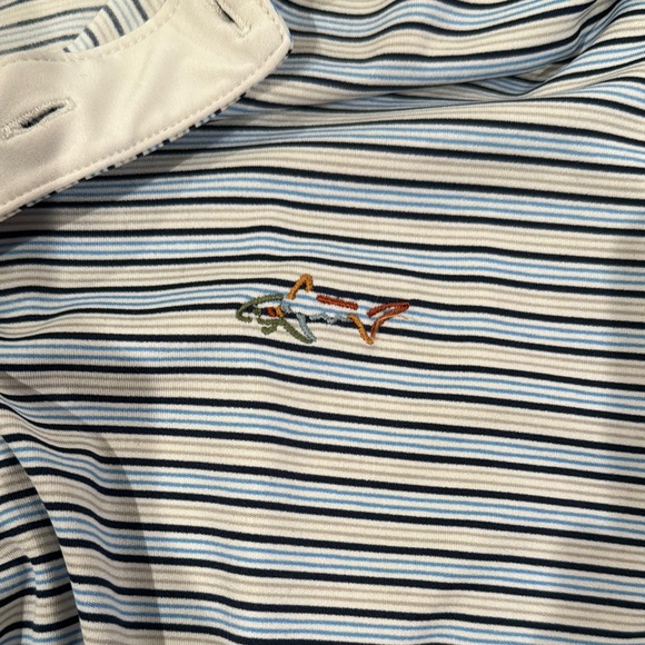 Striped Polo Shirt - Blue and White - Picture 4 of 4